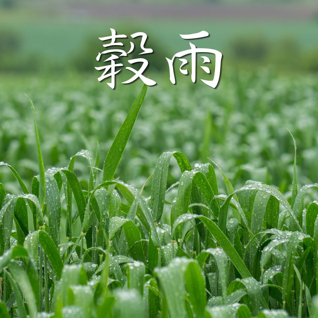 春疲れ、感じていませんか？穀雨の夜は香りのバスタイムで整えよう🌧️