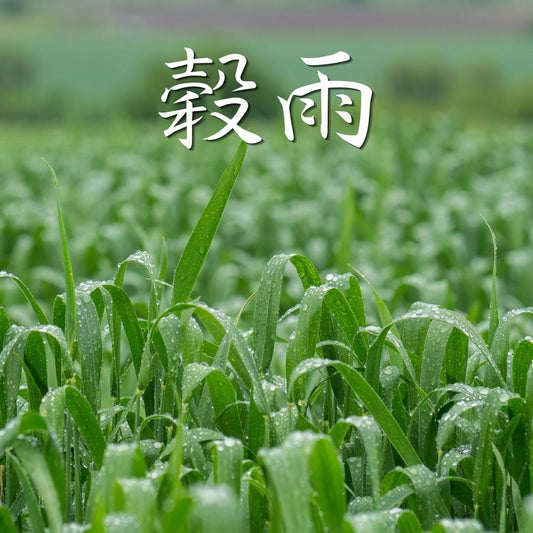 春疲れ、感じていませんか？穀雨の夜は香りのバスタイムで整えよう🌧️